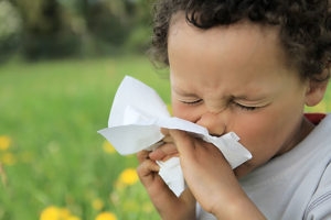 Allergies in Children