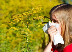 Ragweed Packs a Punch