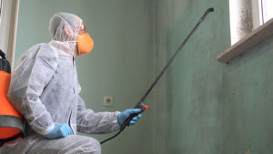 EPA Marks Mold Awareness Month