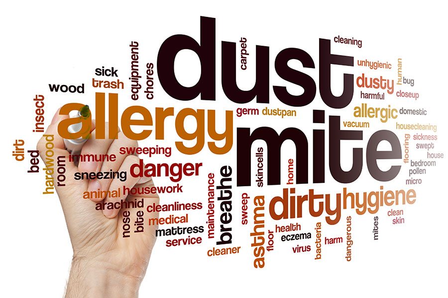 Coping with the Common Dust Mite Allergy