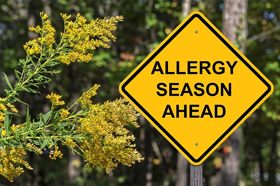allergy-season-2021-900px